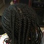 Starter Locs /Comb Twist