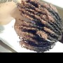 Starter Locs