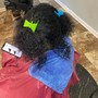 Full-head Permanent Loc extensions