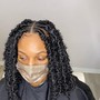 Braided Up-do w/ extensions med sz.