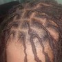 Starter Locs (Ear Length)