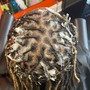 Retwist twist long hair