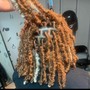 Soft Loc root  Maintenance (whole head)