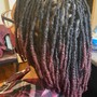 Takedown  (Braids/Sew-In/Crochet Removal)