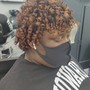 Root Touch Up