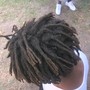 Starter locs  (MID BACK)