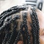 Men's Twist or Box Braids (Full Head)