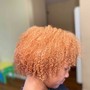 Root Touch Up