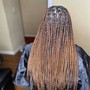 Root Touch Up