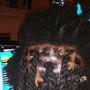 PROJECT CHICK LOC RETWIST $50!