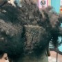 Dreadlocks start (coils)