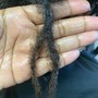 Loc Maintenance(Instant Loc the Roots)