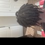 Basic Braids NO  added hair