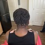 Basic Braids NO  added hair