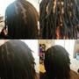 Interloc starter locs