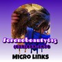 Microlinks Extensions