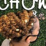 Cornrows/French Braids