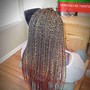 24inches medium KNOTLESS Senegalese Twist