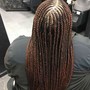 Spring twists