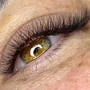 Eyelash Tint