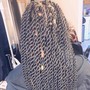 Havana Twists