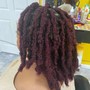 Color Dreadlocks