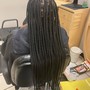 Root Touch Up