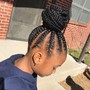 Braided Ponytail