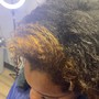 Root Touch Up