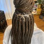 Medium Box Braids