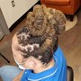 Medium/large Feed-In Braids (2)