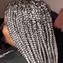 Fulani ( tribal) Braids