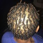 Mini Starter Locs