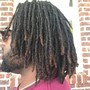 Mini Starter Locs