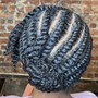 Two strand twist updo/Flexy Rod curler styles