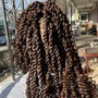 Goddess Box  Braids (curly hair)