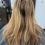 Root Touch Up / Blowdry