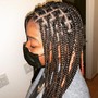 Havana Twists Medium