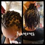 Starter  Locs or Instant Locs