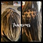 Root Touch Up Color