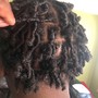 Locs Foil Highlights