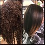 Root Touch Up