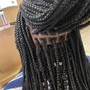 Small Box Braids (mid back)