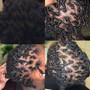 Crochet Braids or Twist