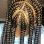 Highlighted braids