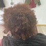 Root Touch Up