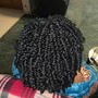 Passion Twist/Senegalese/Rope Twist