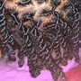 Crochet Braids or Twist