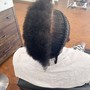 Flat Scalp Twist