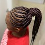 Lemonade Feed-In Braids